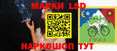 индика Будённовск
