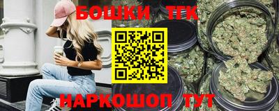 индика Будённовск