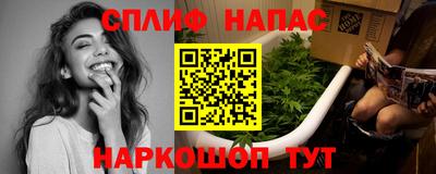 индика Будённовск