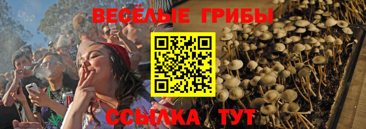 Галлюциногенные грибы ЛСД Сертолово