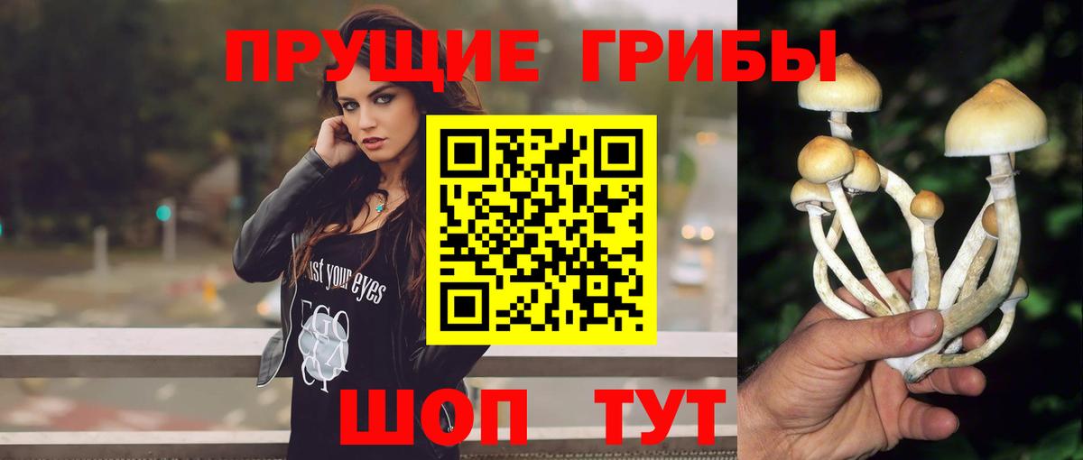 купить   Вход с VPN  Сертолово  Галлюциногенные грибы Magic Shrooms 